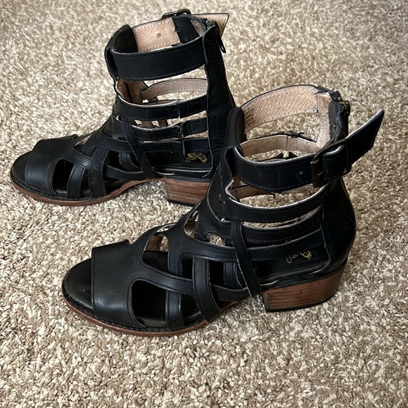 Freebird Gazelle 8 - Picture 3 of 11